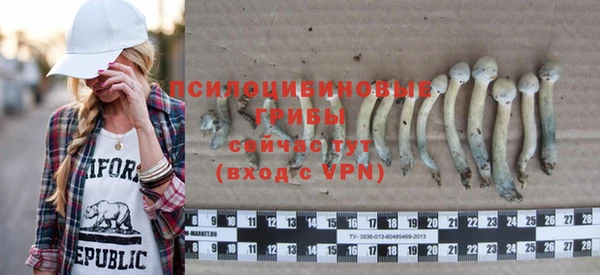 МДПВ Верея